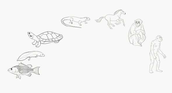 bild neurophysiologische entwicklungsf rderung